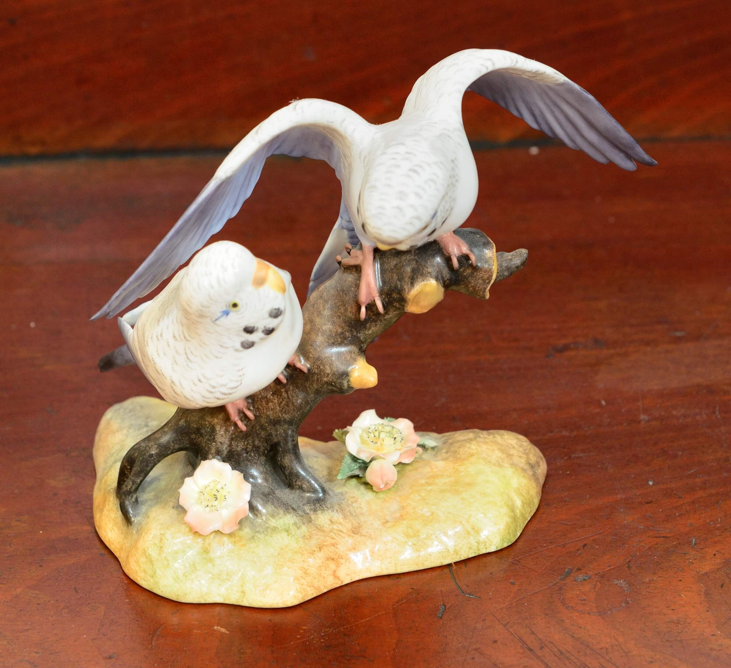 Crown Derby Budgerigars